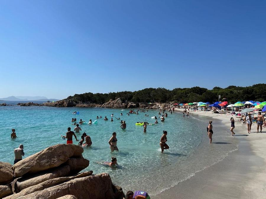 
	La spiaggia di Capriccioli

