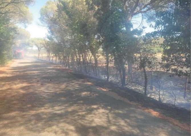 Si tratta del secondo incendio al Parco della Maremma (foto Agenzia BF)