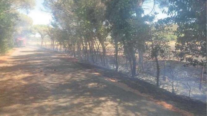 Si tratta del secondo incendio al Parco della Maremma (foto Agenzia BF)