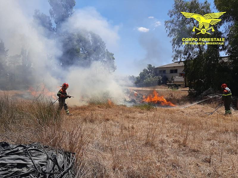 Rogo a Siniscola, intervengono due elicotteri del Corpo forestale