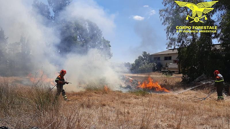 Rogo a Siniscola, intervengono due elicotteri del Corpo forestale