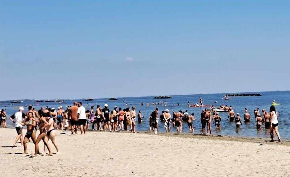 Lido Scacchi. Uno squalo vicino alla riva, momenti di panico in mare