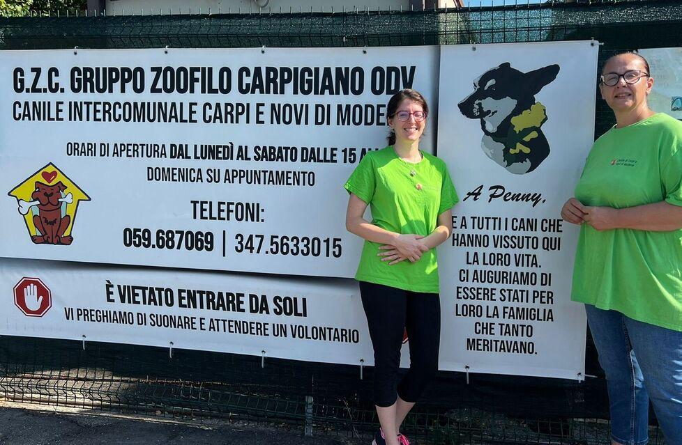 Carpi, troppi animali abbandonati «Venite al canile ad adottarli» 