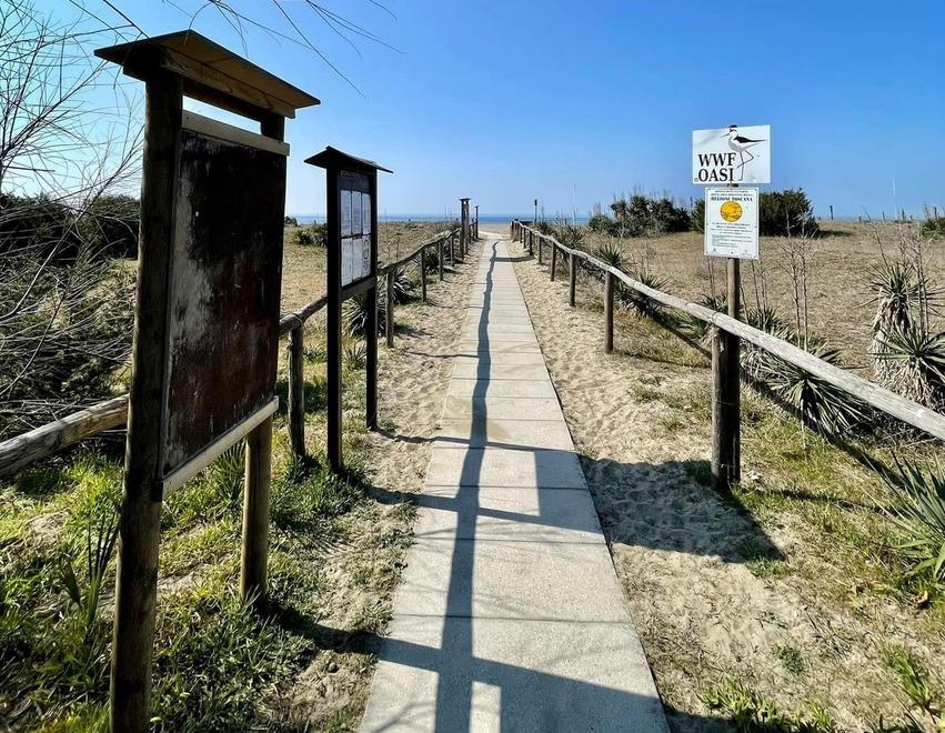 Forte dei Marmi, spiaggia libera vietata nella notte. Scatta l’ordinanza del sindaco di Forte