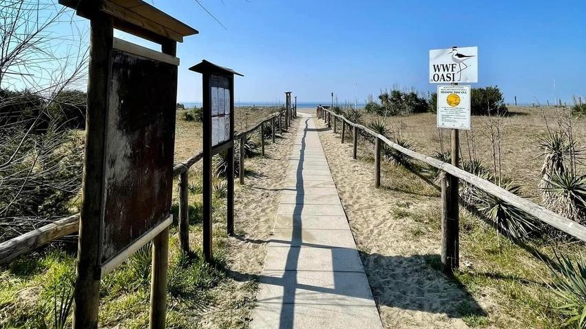 Forte dei Marmi, spiaggia libera vietata nella notte. Scatta l’ordinanza del sindaco di Forte