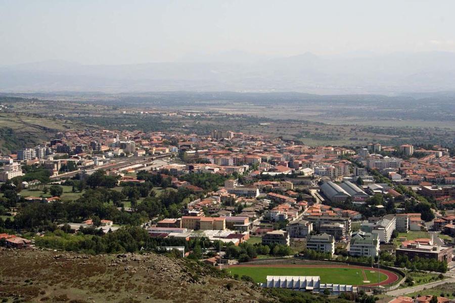 Rogo doloso nell’antica pineta di Macomer