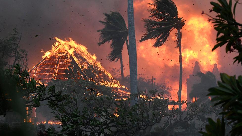 Manuele, il montecatinese volontario in vacanza alle Hawaii quando è scoppiato l'inferno: «Noi dirottati, ho chiesto di aiutare»<br>