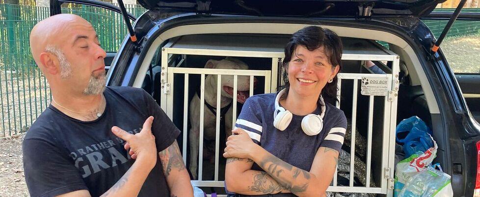 La fuga e la gioia di ritrovare il loro cane, i proprietari: «Torneremo a Livorno con Weiss»<br>
