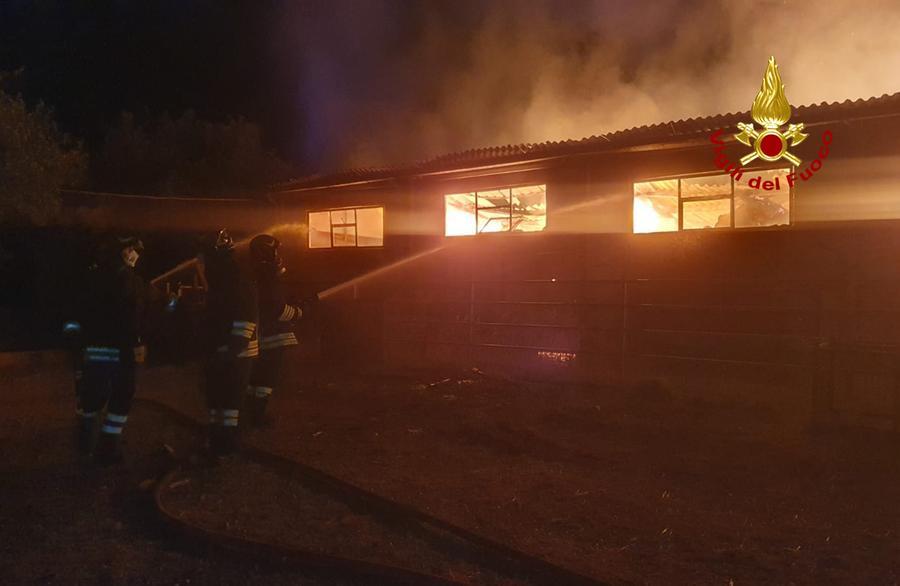 Incendio in un podere a Piancastagnaio, intervento dei vigili del fuoco