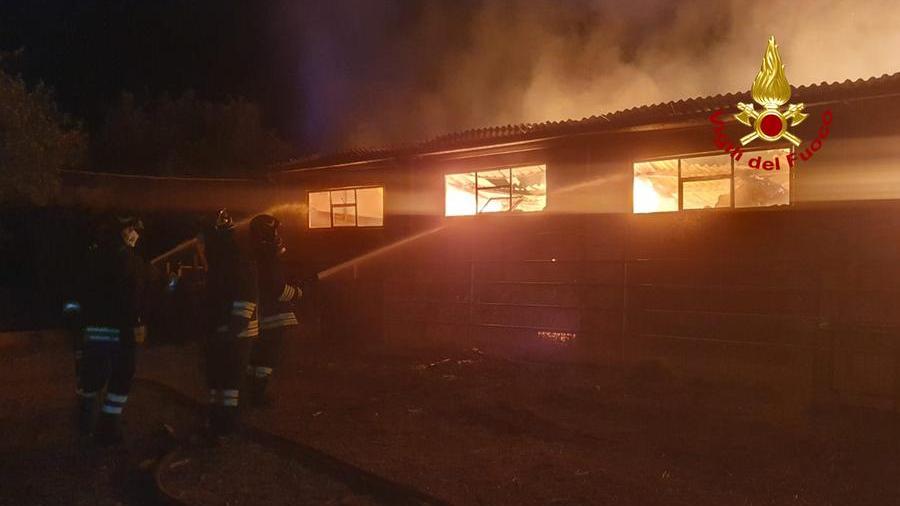 Incendio in un podere a Piancastagnaio, intervento dei vigili del fuoco