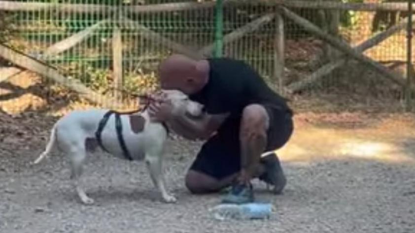 Cane ritrovato a Livorno, l’esperto: «Un animale fragile vale come un figlio, ecco perché la città si è mobilitata»
