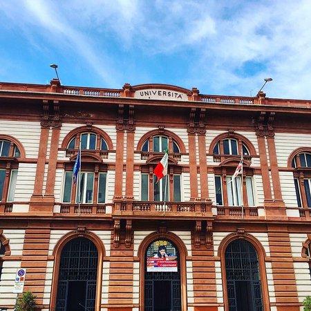 Medicina veterinaria a Sassari: con la Nuova inserto di 8 pagine alla scoperta di una facoltà di grande tradizione proiettata nel futuro