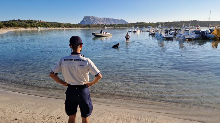 Ormeggio abusivo nel paradiso di cala Brandinchi: blitz della Guardia costiera di Olbia, denuncia e sanzioni per i titolari di due società