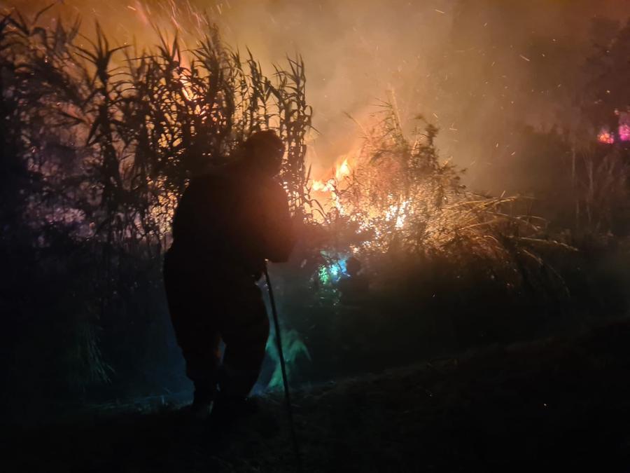 Appiccò due incendi a Cecina, denunciato un uomo di 74 anni
