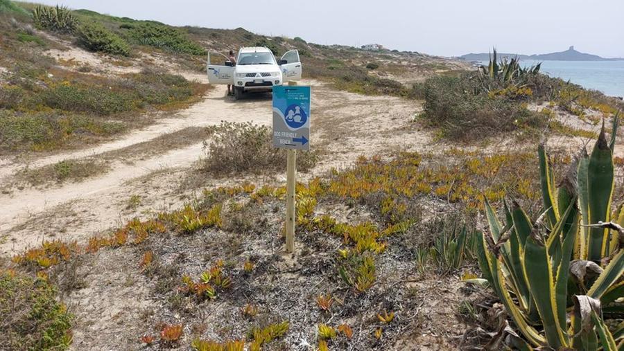 
	Una delle nuove aree dog friendly

