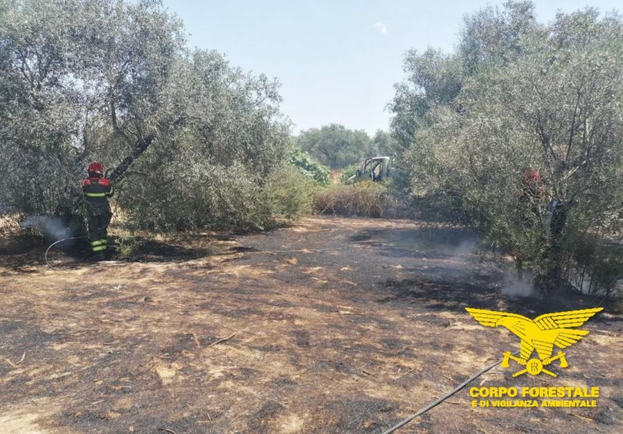 Ancora incendi in Sardegna, a Ittiri vanno in fumo 40 ettari