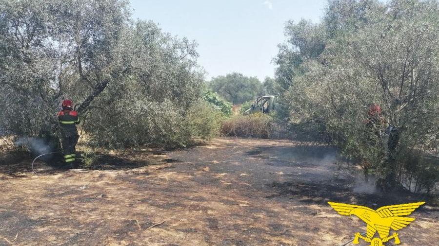 Ancora incendi in Sardegna, a Ittiri vanno in fumo 40 ettari