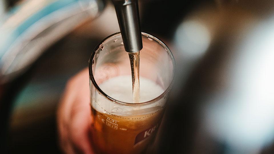 Festa della birra a Capannori, si parte, quattro giorni tra musica e buon cibo<br>
