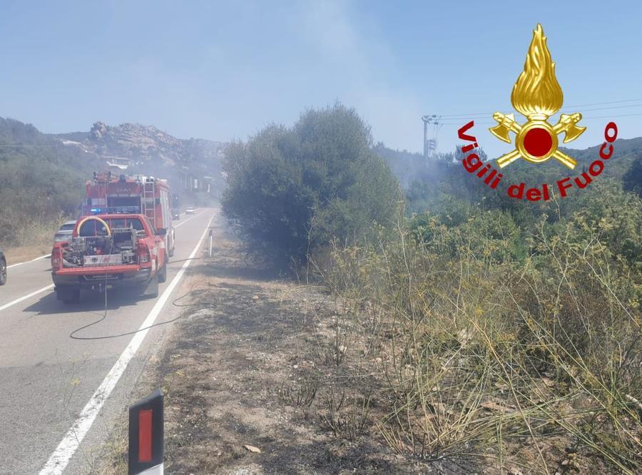 Fiamme lungo la provinciale 29: intervengono i vigili del fuoco di Arzachena