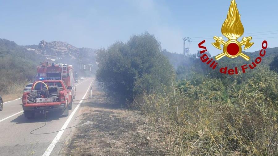 Fiamme lungo la provinciale 29: intervengono i vigili del fuoco di Arzachena