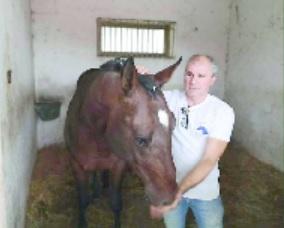 Zio Frac re del Palio. Il suo allevatore: «Nato per vincere»