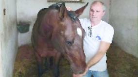 Zio Frac re del Palio. Il suo allevatore: «Nato per vincere»