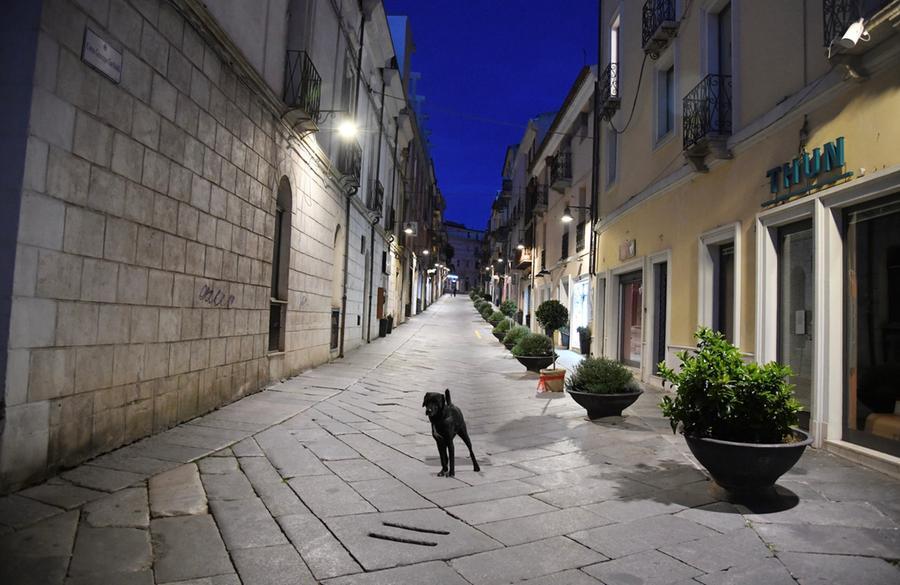
	Il corso Garibaldi (foto Massimo Locci)

