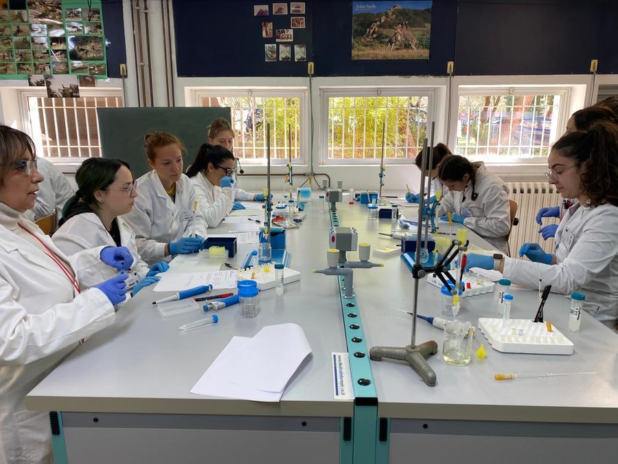 I bandi Erasmus+ e Ulisse e accordi con venti paesi