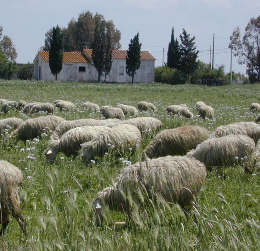 Da 25 anni all’avanguardia nella alta formazione