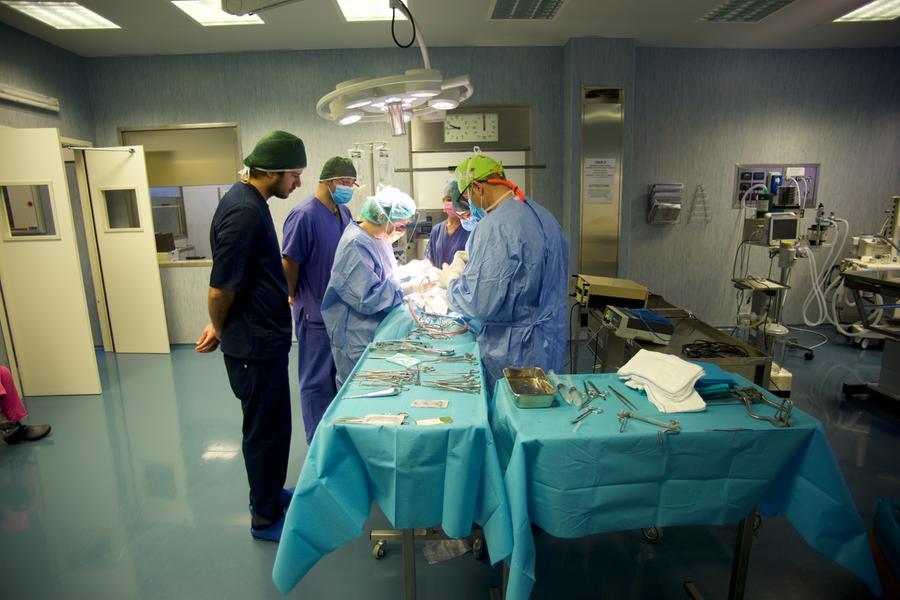 La solida certezza del centro di cura per tutti gli animali