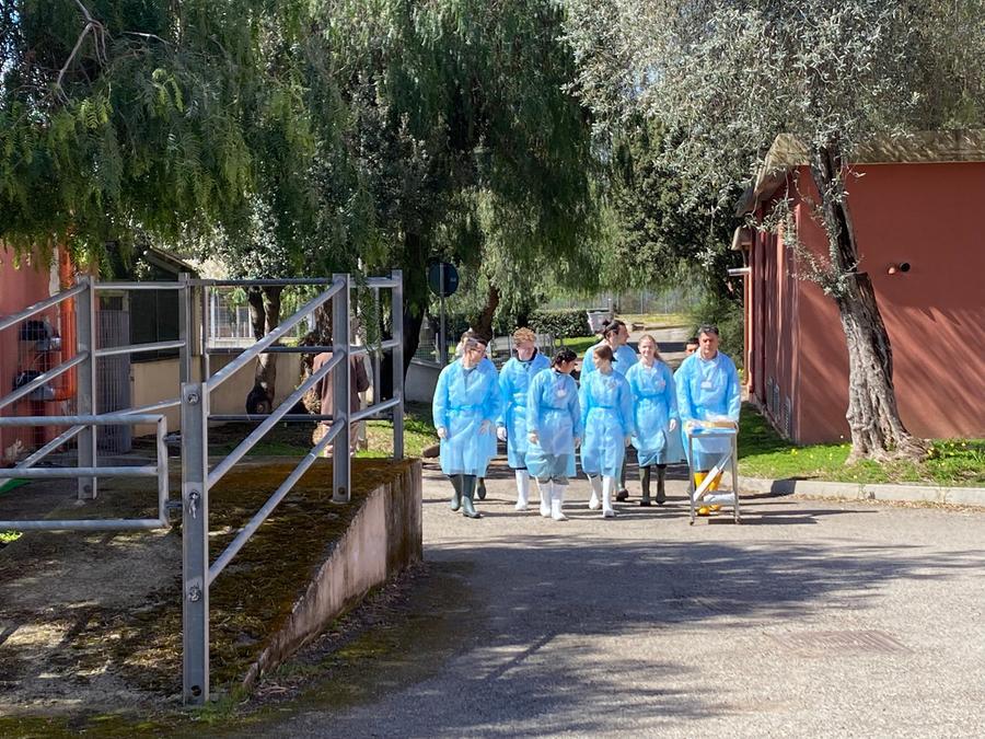 Eaeve, Sassari fa parte con orgoglio di una rete internazionale che collega i veterinari europei