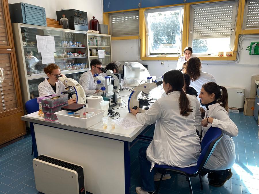 Sassari studenti presso un laboratorio del dipartimento di Scienze Veterinarie dell'Uniss