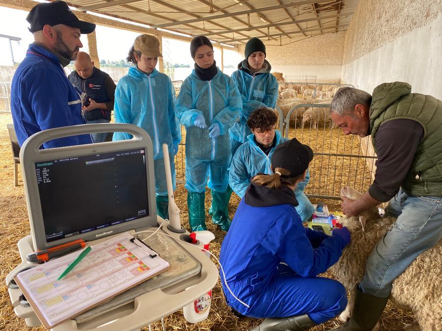 Tre lauree magistrali di valore internazionale: il Dipartimento è primo nella classifica Censis