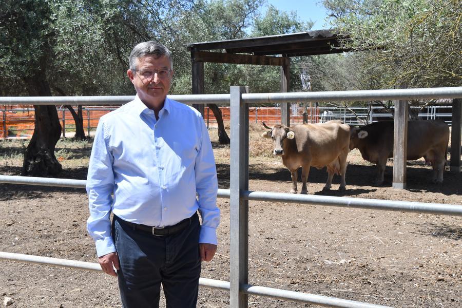 Il direttore Enrico De Santis racconta il Dipartimento: cinque anni impegnativi per diventare veterinari