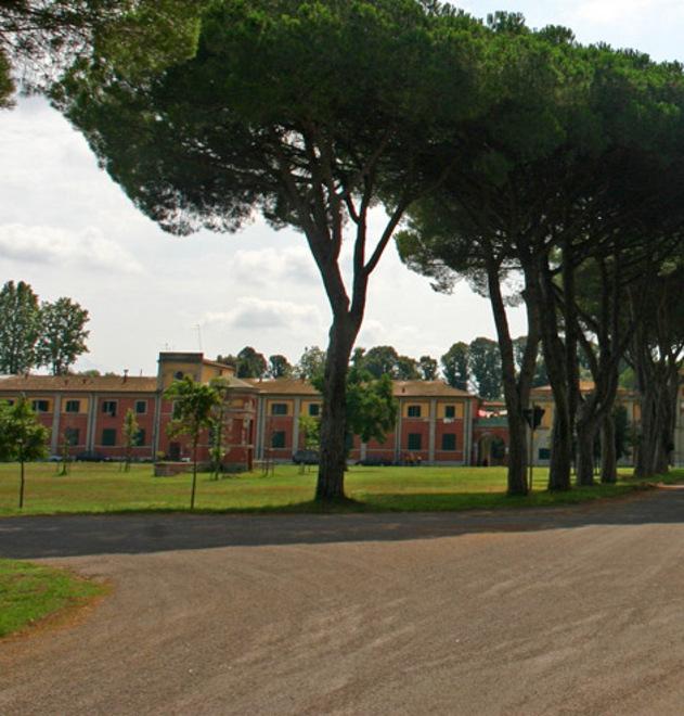 L’area di Cascine Nuove nella tenuta di San Rossore