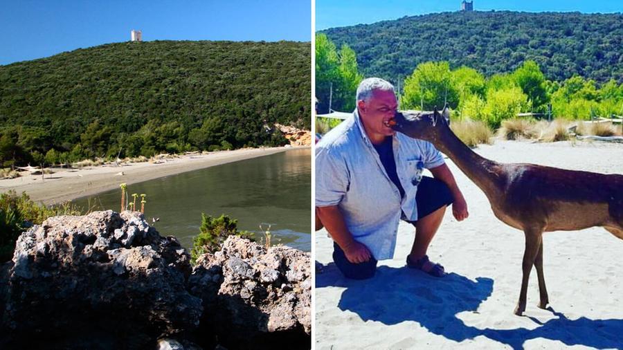
	Cala di Forno e il sindaco di Grosseto con il daino


