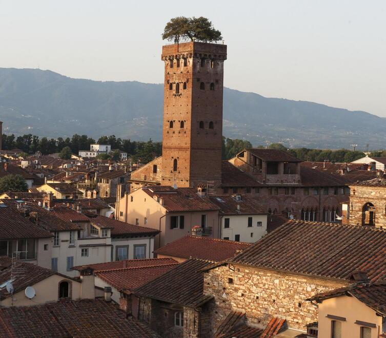 La Torre Guinigi con i suoi alberi sulla cima al centro del panorama di Lucca