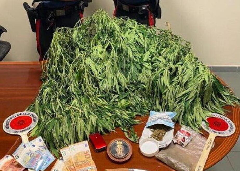 I materiali sequestrati dai carabinieri