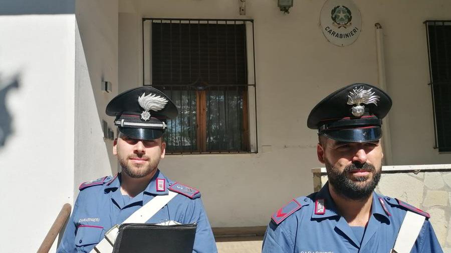 Albinea, dipendente di fiducia ruba pneumatici dall’officina dove lavora
