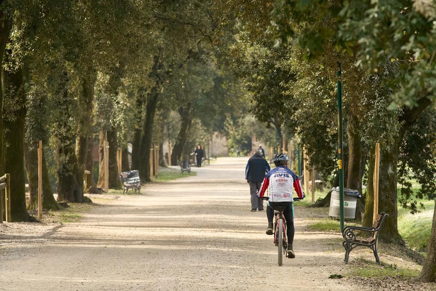 
	Il luogo dove &egrave; avvenuta l'aggressione

