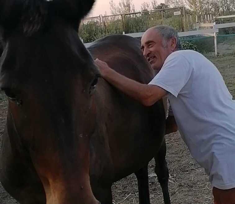 Mula incinta, evento rarissimo nelle campagne di Portomaggiore