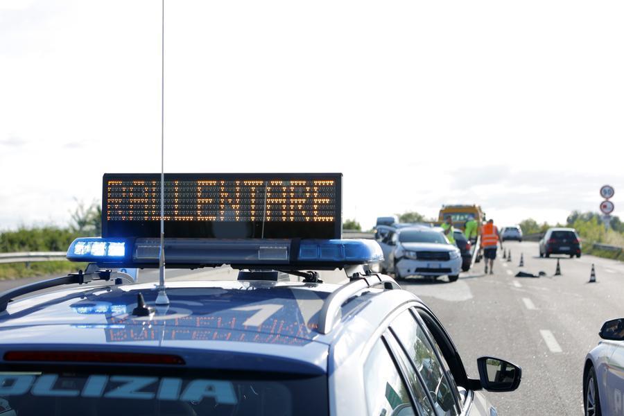 Comacchio, vitellini in strada: chiusa la Super