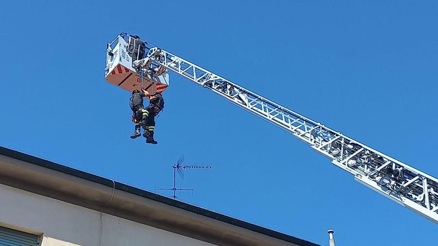 Cecina, crolla il tetto di un palazzo: evacuate dieci persone. «Svegliati da un boato»