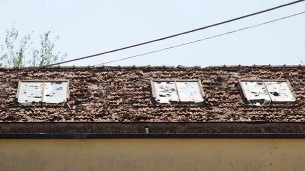 San Bartolomeo, un mese dopo «La grandine ha distrutto e ferito»