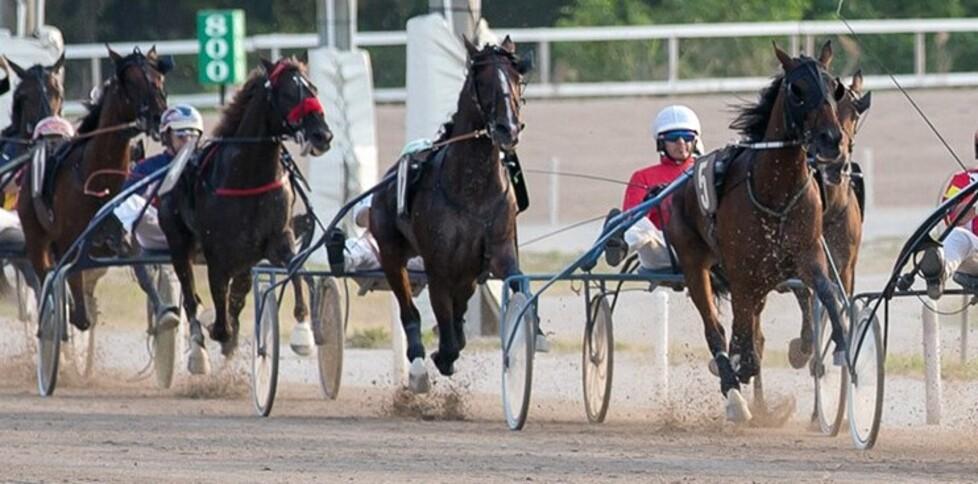Una corsa al trotto all’ippodromo Sant’Artemio di Villorba di Treviso