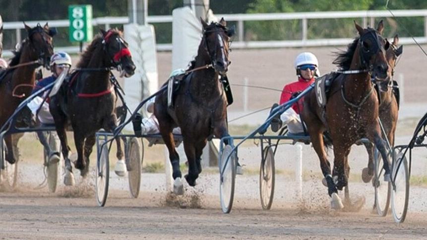 Una corsa al trotto all’ippodromo Sant’Artemio di Villorba di Treviso