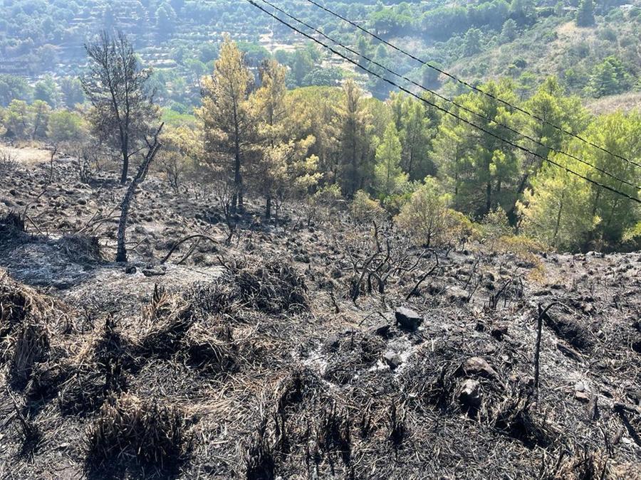 Incendio Elba, le fiamme sono sotto controllo: la vittoria di volontari e vigili del fuoco. Rogo partito da bordo strada – Video