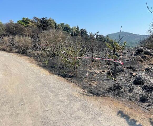 Incendio all'Elba, la devastazione nell’impero delle vacanze: trovato il probabile punto d'innesco