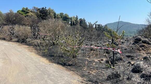 Incendio all'Elba, la devastazione nell’impero delle vacanze: trovato il probabile punto d'innesco