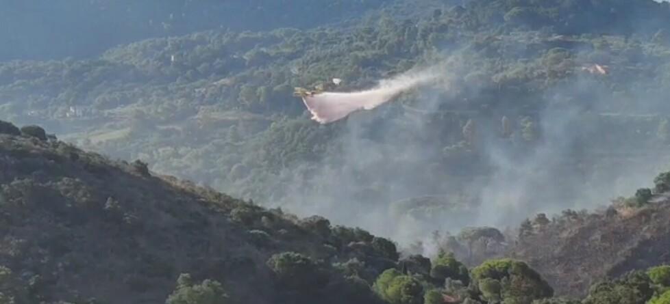 Incendio all’Elba, camping e villaggi evacuati: «Noi, fuggiti dalle fiamme»